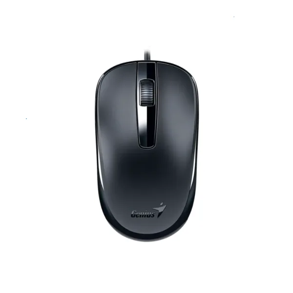 Mouse Genius DX-120,USB-C,Black (2299)