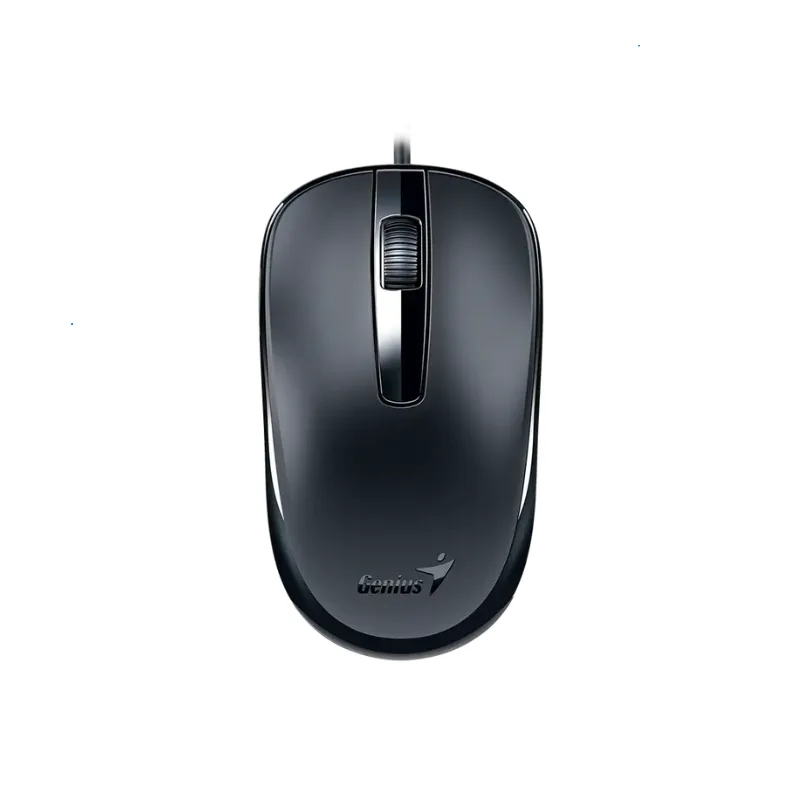 Mouse Genius DX-120,USB-C,Black (2299)