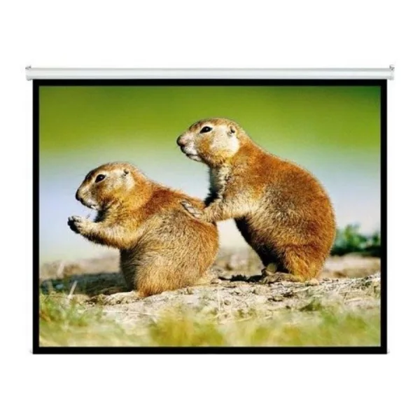 PANTALLA INTELAID PROYECTOR 120 PULGADAS COLGANTE IT-SPS120