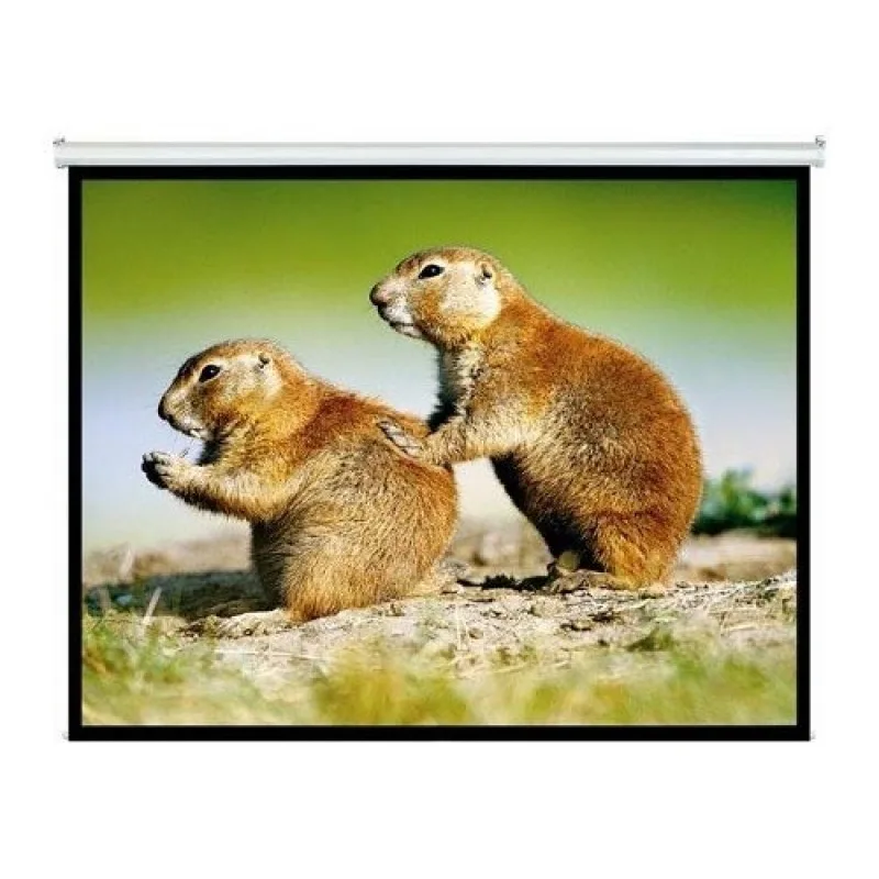 PANTALLA INTELAID PROYECTOR 120 PULGADAS COLGANTE IT-SPS120